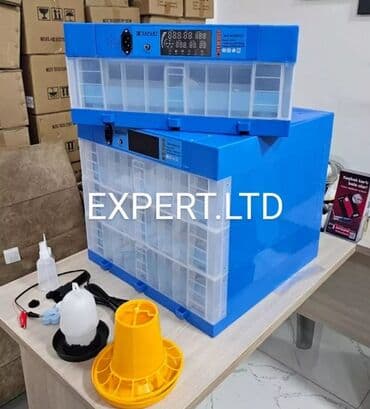 hinduska yumurtasi nece gune cixir: Expert şirkətinin rəsmi istehsalı olan, android-rejimli aparatların — 6