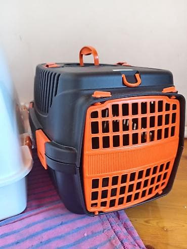 bala pişik ucuz: Pişik üçün aksesuarlar dəsti – Daşıma çantası/transportyor: Sərt — 2