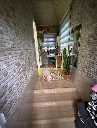 divan ayaqları: Divan — 8