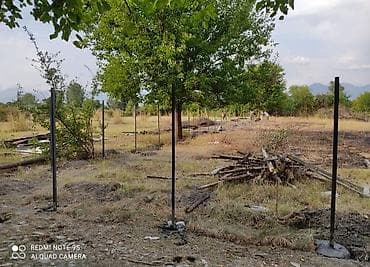 sabunçu torpaq: 20 sot, Tikinti, Mülkiyyətçi, Kupça (Çıxarış) — 4