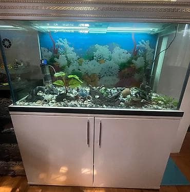Dördbucaq akvarium, Boş, 320 l, Ünvandan götürmə