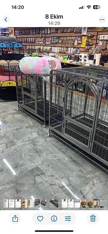 Gəmiricilər: TƏZƏDİ!!! İşlənməyib Möhkəm metal konstruksiyalı it/pişik qəfəsi - — 2