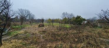 купить новостройку в баку: 30 соток, Для сельского хозяйства, Собственник, Купчая — 3