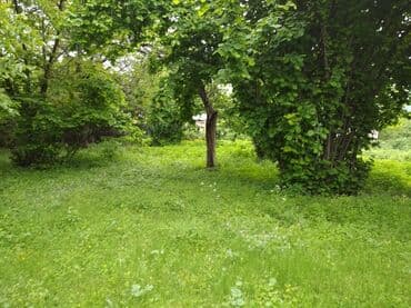 1 комнатная квартира студия: 30 sot, Barter mümkündür, Kupça (Çıxarış) — 4