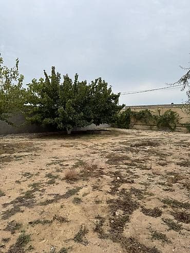 5 sot, Tikinti, Makler, Kupça (Çıxarış) — 2