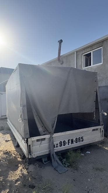 kuza satışı: Satılır kuzalar ideal veziyetde Tentli 1000 azn Butka ise 800 azn Ağ — 1
