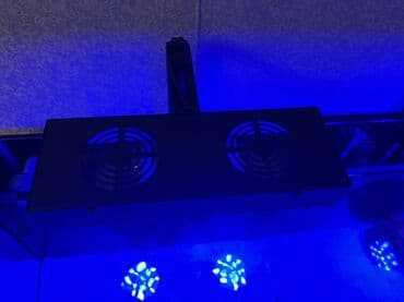 su pişiyi: 2 eded teze led akvarium ishigi satilir hem okean hem shirin su — 3