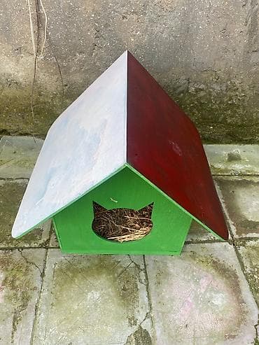 itlerin ucuz qiymete satisi: Satilir 3 ayliqdi peyvəndi bir dəfə vurulub evi və xaltasi ustundə — 7