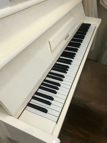 yamaha piano qiymeti: Pianino PETROF Cexya stehsalı. Ideal vəziyyədə. Cadırılma və köklənmə — 1