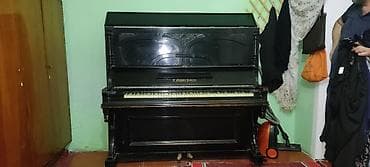 Fleytalar: Piano, Akustik — 5