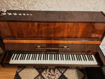 Piano, Belarus, Akustik