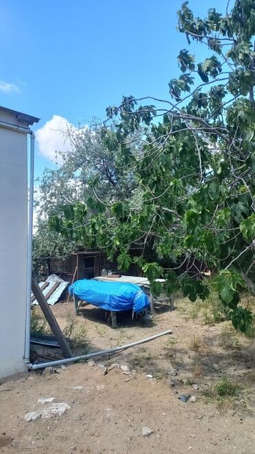 elmler ev: Novxanı, 130 kv. m, 3 otaqlı, Hovuzsuz, İnternet, Telefon, İşıq — 6