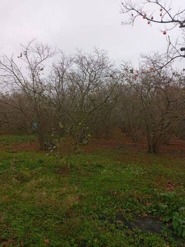 продажа и аренда домов: 4 комнаты, 110 м², Нет кредита, Без ремонта — 11