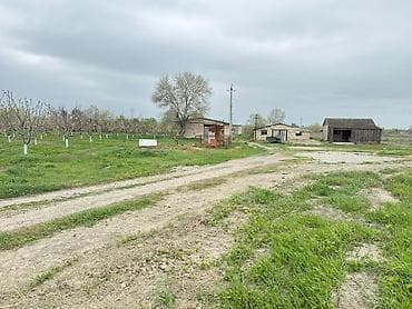 bilgeh ev: 3000 sot — 1