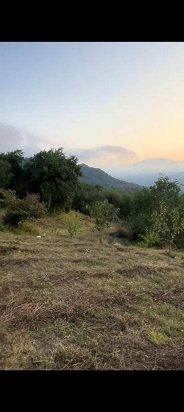 əmlak satışı: 68 sot, Kənd təsərrüfatı, Mülkiyyətçi, Kupça (Çıxarış) — 1