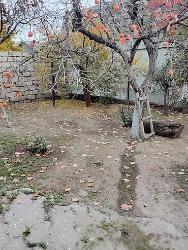 учуз мензилерин сатышы: Продаеться дом от Хозяина в поселки Расулзаде(Кирова). Улица 8 Марта — 10
