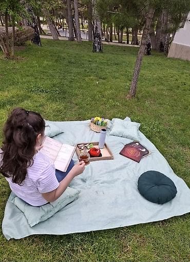 piknik oturacaq: Piknik dəsti – yumşaq doldurmalı, kvadrat naxışlı yaylıq və yastıqlar — 4