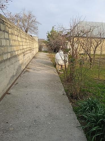 Mənzillər: 10 sot, Kənd təsərrüfatı, Mülkiyyətçi, Kupça (Çıxarış) — 4