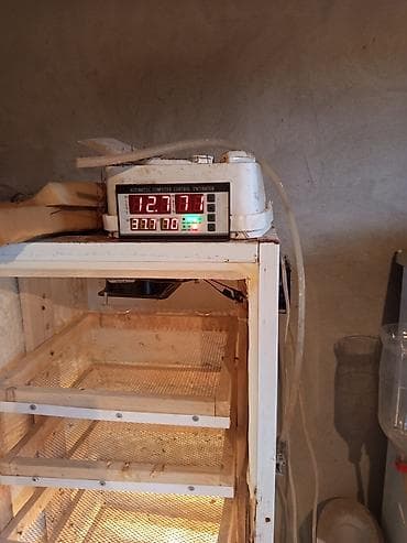 Kənd təssərüfatı avadanlığı: Bütün növ quşlaq üçün — 6