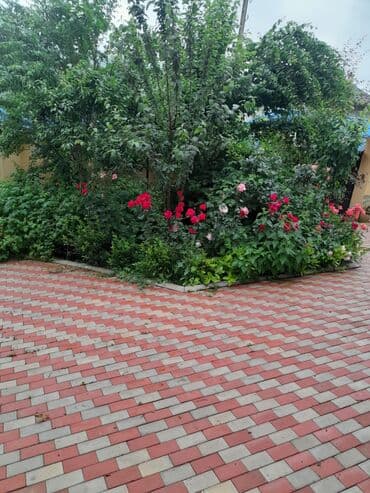 elmlerde evler: 300 kv. m, 8 otaq, Hovuzsuz, Kombi, Qaz, İşıq — 4