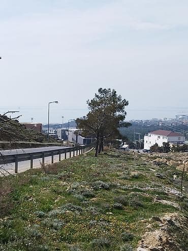 12 sot, Tikinti, Mülkiyyətçi, Kupça (Çıxarış) — 5
