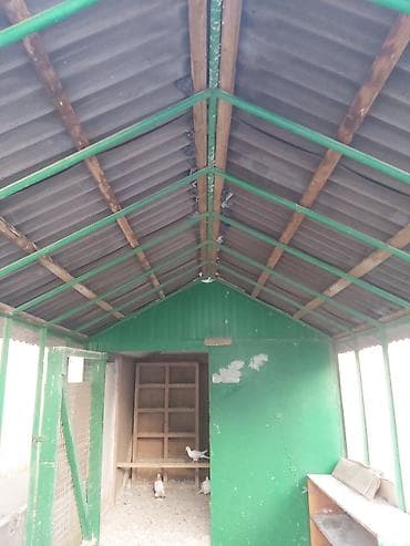 quşxana satılır: Geniş quşxana satılır.Əlaqə üçün 0509995556 — 2