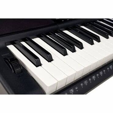 midi klavye: Sintezator, Casio, Yeni, Ödənişli çatdırılma, Rayonlara çatdırılma, Ünvandan götürmə — 2