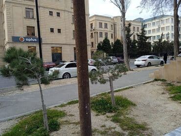 ist petrol tbilisi prospekti: Bakıxanov qəsəbəsidə,Sülh küçəsində,əsas yolun kənarında,sahəsi 85kv — 12