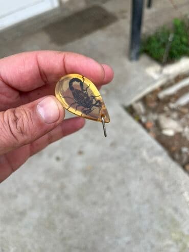 yuxuda qizil sep klon görmek: Kulon, Heyvanlar, Qaşsız — 2