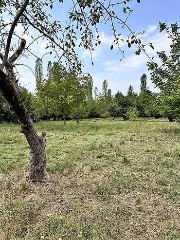 guzgu satışı: 60sot torpaq satilir Asvaltdan mesafə 400metr Dag menzereli Kommunal — 6