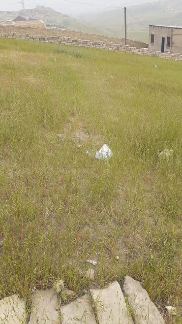 Lexus: 8 sot, Tikinti, Bələdiyyə — 3