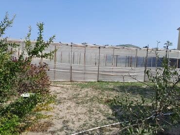 xacmazda torpaq: Kənd təsərrüfatı — 6