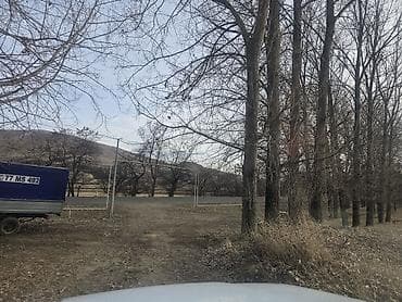 12 sot, Tikinti, Mülkiyyətçi, Kupça (Çıxarış)