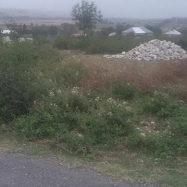 Həyət evləri və villalar: 12 sot, Tikinti, Barter mümkündür, Bələdiyyə — 3