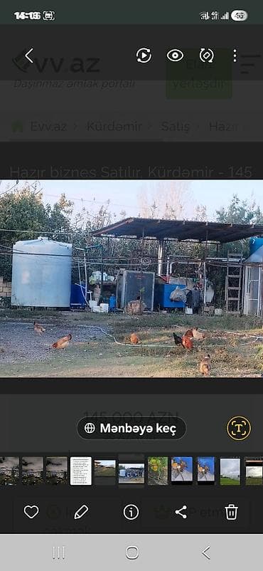 qedimi samovar qiymetleri: Sənaye tipli istixana kompleksi - Bir neçə ədəd böyükölçülü, tağlı — 4