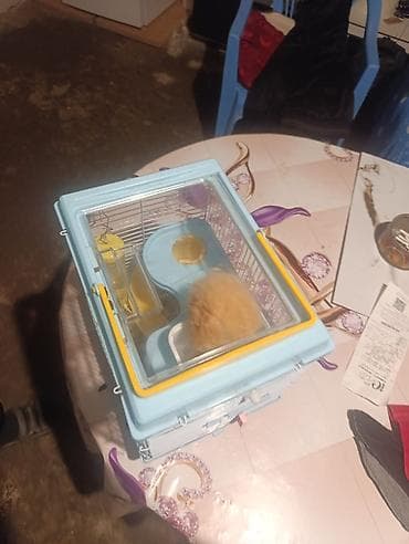 heyvanlar ucun mallar: Xamster üçün tam dəst qəfəs - Kompakt ölçülü, ikimərtəbəli — 3