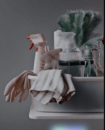 уборщица в офис: Уборщик требуется, от 46 лет, 3-5 лет опыта, 1/2, Ежемесячная оплата — 1