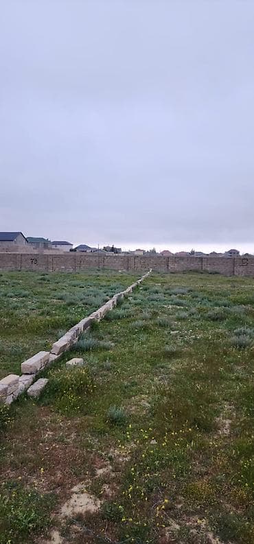 5 sot, Tikinti, Mülkiyyətçi, Kupça (Çıxarış)