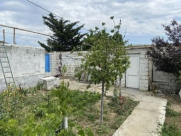 bine qesebesinde ev: 3 otaqlı, 76 kv. m, Kredit yoxdur, Yeni təmirli — 4
