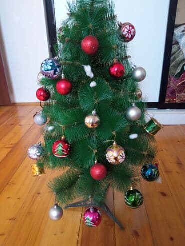 купить живую елку в баку: 95 sm necə görürsüz elecede satıram endirim olunacaq — 7