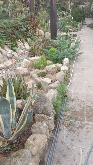 Landşaft dizayin ummi abadliq qazon agaclar gul ciceklerlə bağlarin