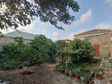 дирел: 4 комнаты, 130 м², Нет кредита, Свежий ремонт — 4