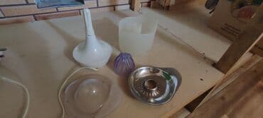 Şirəçəkən Sitrus meyvələri üçün lalafo.az -da Şirəçəkən Sitrus meyvələri üçün