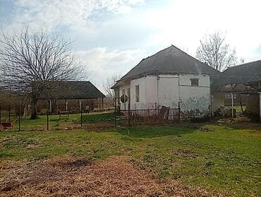 zabratda torpaq satisi: Oğuz, 100 kv. m, 3 otaqlı, Hovuzsuz, İnternet — 1