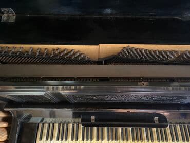Пианино «F.MÜHLBACH» Раритет,старинное пианино.30 лет не — 3