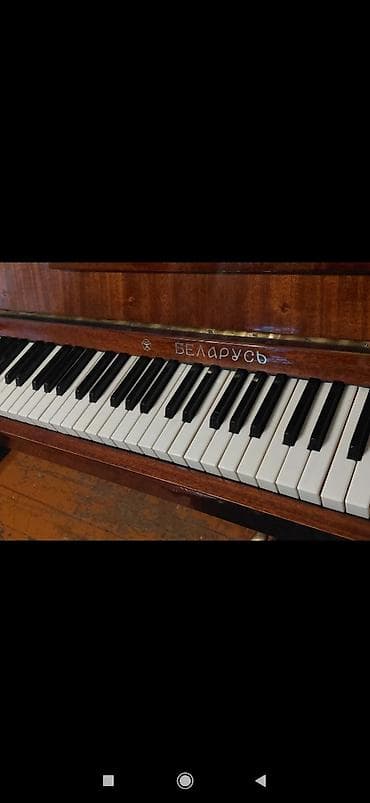 Zərb alətləri: Piano, Belarus, Akustik, İşlənmiş — 3