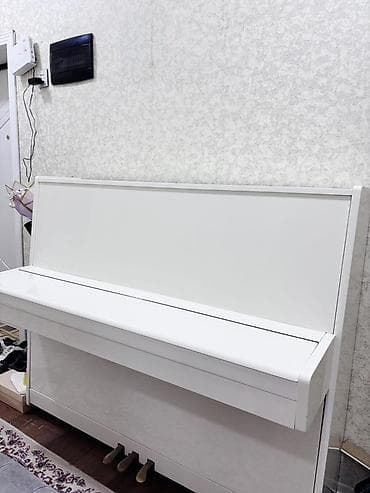 irsad electronics velosiped: Piano, Belarus, Akustik — 2