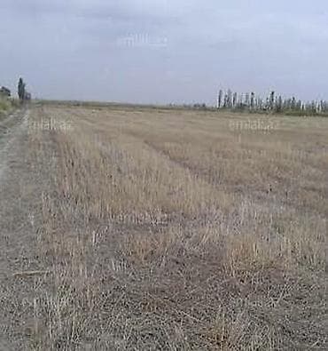 480 соток, Для сельского хозяйства, Собственник, Бялядия (муниципалитет) — 1