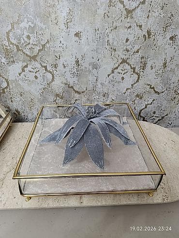 Полочные витрины: Новый — 4