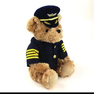 Qoruyucu plyonka və şüşələr: Hörmətlə İÇ.DEKOR 👍 Hava gəmisinin kapitanı - pilot formalı yumuşaq — 2